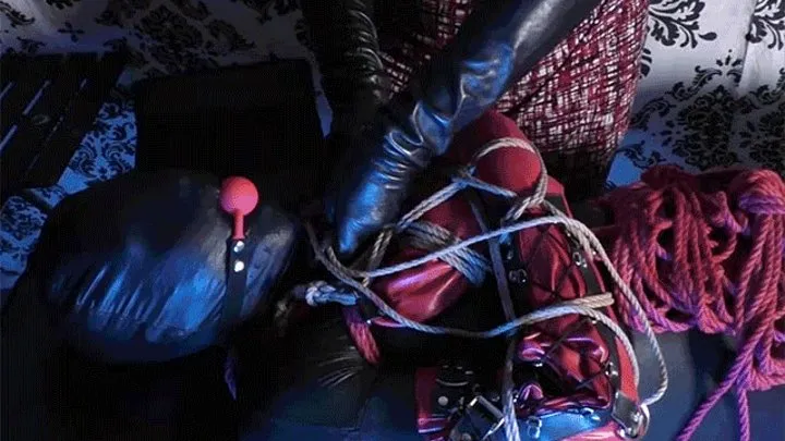 Zentai Bondage Ball Tied, Ball Gag w Bound Orgasm Attempt 960