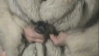 Glove Fur Cock slave