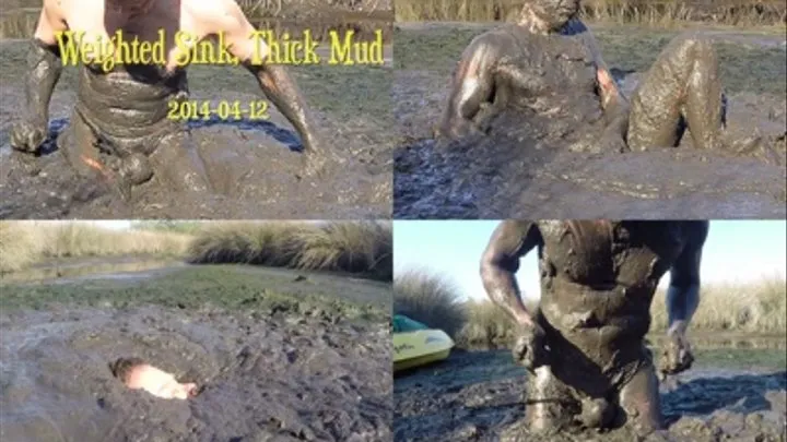 Weighted Sink, Thick Mud - 2014-04-12