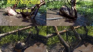 Muddy Suspension, 2014-09-02