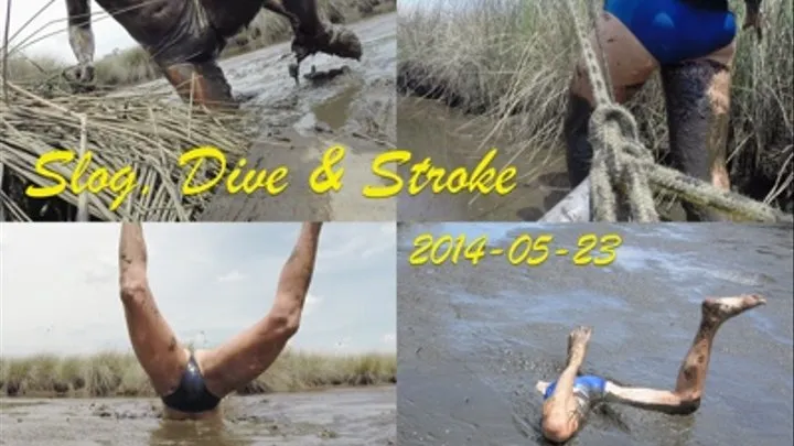 Slog, Dive and Stroke - 2014-05-23