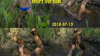 Diving into Peat Mud 2019-07-15, short version