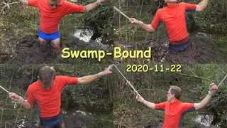 Swamp-Bound, 2020-11-22
