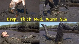 Deep, Thick Mud, Warm Sun, 2020-08-26