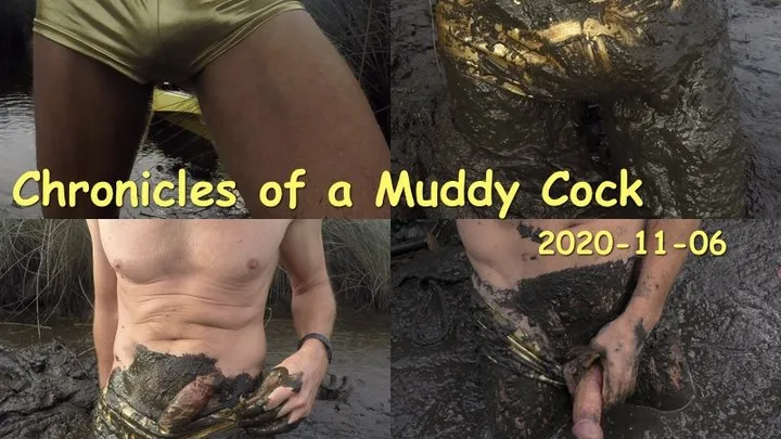 Chronicles of a Muddy Cock, 2020-11-06