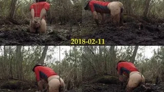 Swamp Bondage, 2018-02-11