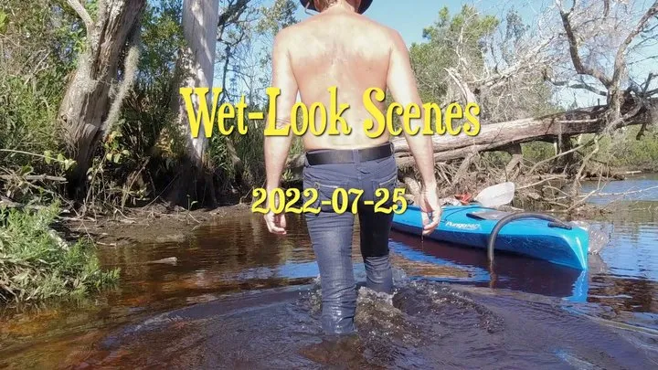 Wet-Look Scenes, 2022-07-25