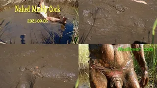 Naked Muddy Cock, 2021-09-03