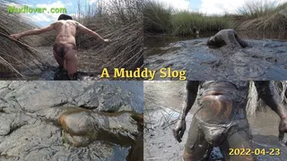 A Muddy Slog, 2022-04-23