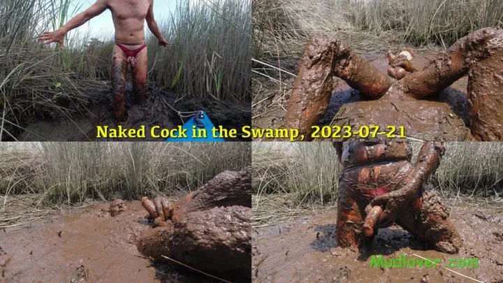 Naked Cock in the Swamp, 2022-07-21