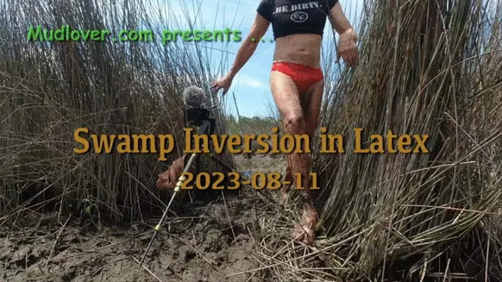 Swamp Inversion in Latex, 2023-08-11