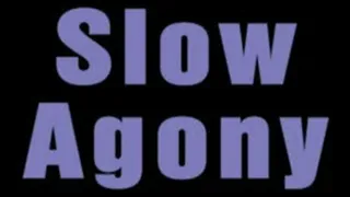 Emily slow agony - 3