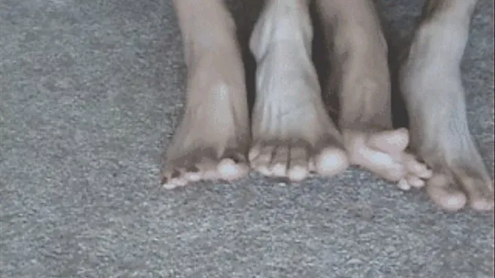 Male/Female Foot Comparison