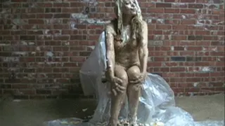 submissann in the service of Will: Sploshing (Cream Pies) Part 4