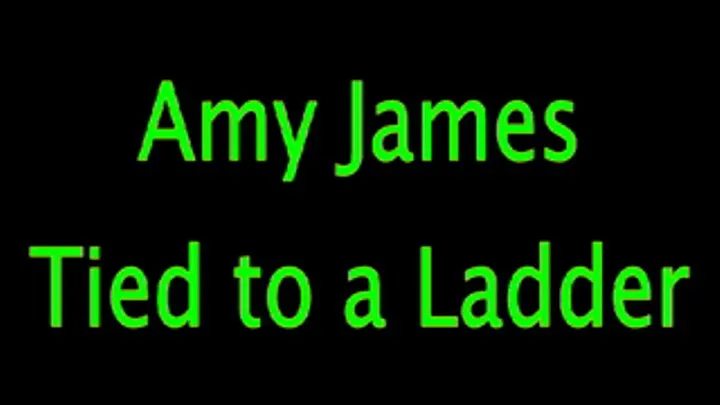 Amy James: Ladder Tied