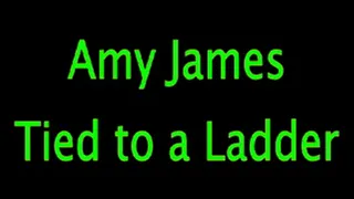 Amy James: Ladder Tied