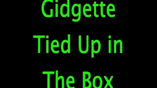 Gidgette in The Box (Remastered)
