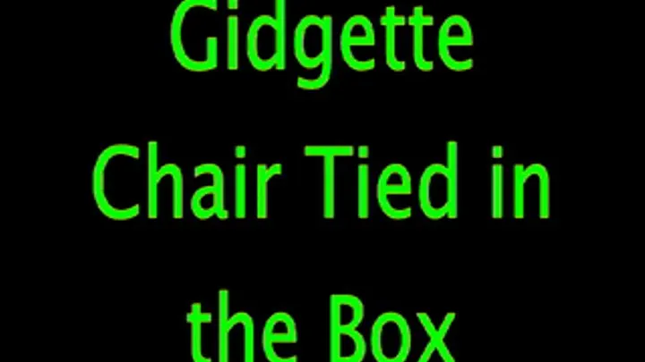 Gidgette: Chair Tie in the Box