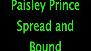 Paisley Prince: Spread and Bound