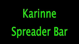 Karinne: Spreader Bar
