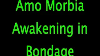 Amo Morbia: Awakening in Bondage