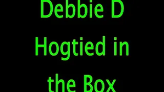 Debbie D: Hogtied in the Box