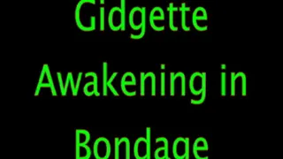 Gidgette: Awakening in Bondage