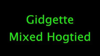 Gidgette Dungeon Hogtie