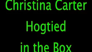 Christina Carter: Hogtied in the Box
