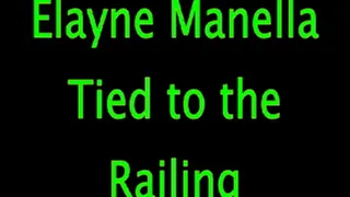 Elayne Manella: Tied to a Railing