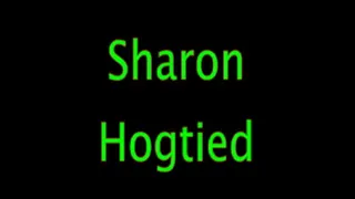 Sharon Hogtied