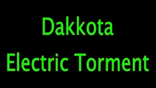 Dakkota; Electrical Torment (Camera 2)
