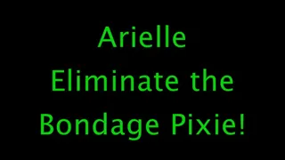 Arielle: Eliminate the Bondage Pixie!