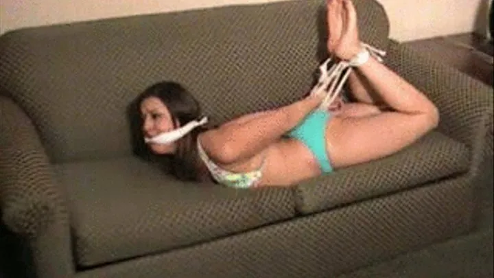 Elayne Manella: Hogtied on Your Sofa