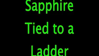Sapphire: Ladder Bound (Remastered)