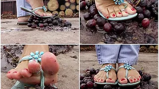 smack crush of a whole bunch of grapes in flipflops