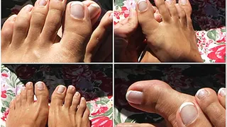 Extreme close at Annies toes - french nail