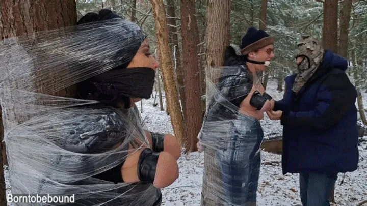 Busty broads saran wrapped to trees in the snow