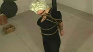 "vintage" jj clip, pole tied in the basement