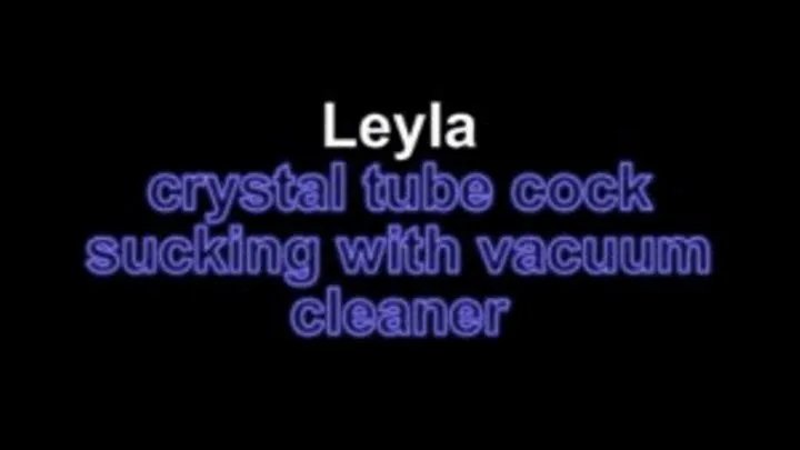 Leyla crystal tube cock sucking with vacuum cleaner