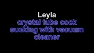 Leyla crystal tube cock sucking with vacuum cleaner