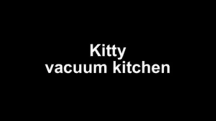 Kitty vacuum kitchen