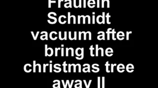 Fräulein Schmidt vacuum after bringing the christmas-tree away Part II