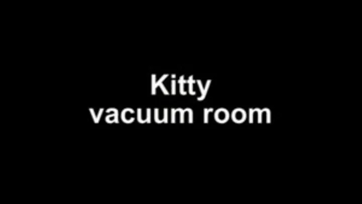 Kitty vacuum room