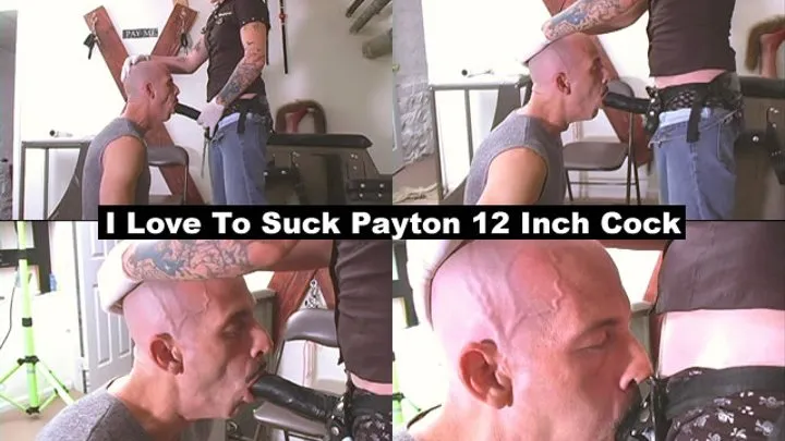 - I Love To Suck Payton's 12 Inch Cock- 1,500 kbps