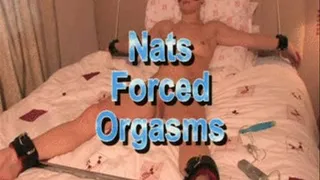 Nats Orgasm