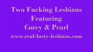 2 Fucking Lesbians