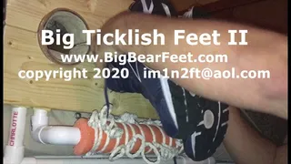 Big Ticklish Feet II