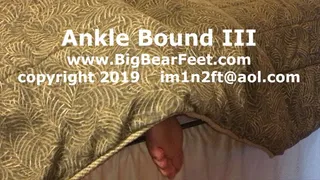 Ankle Bound III