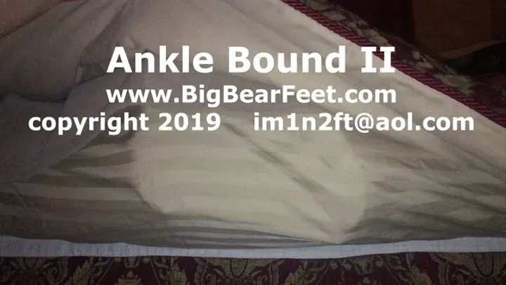 Ankle Bound II